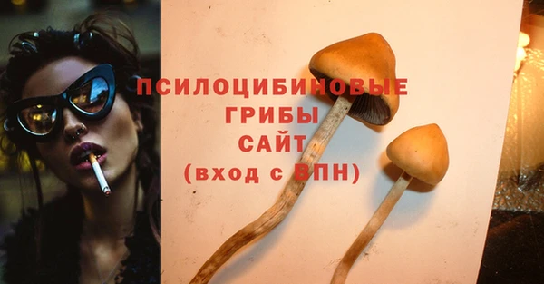 крисы Баксан