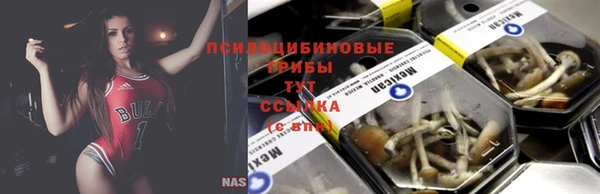 крисы Баксан