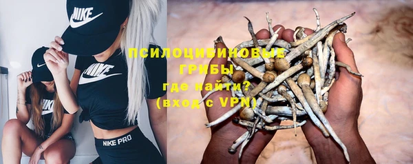 дурь Балахна