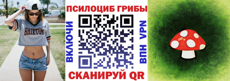 площадка Telegram  купить наркоту  Тюкалинск  Псилоцибиновые грибы мицелий 